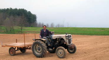 Abtransport der Steine aus dem Rebberg Abtransport der Steine aus dem Rebberg