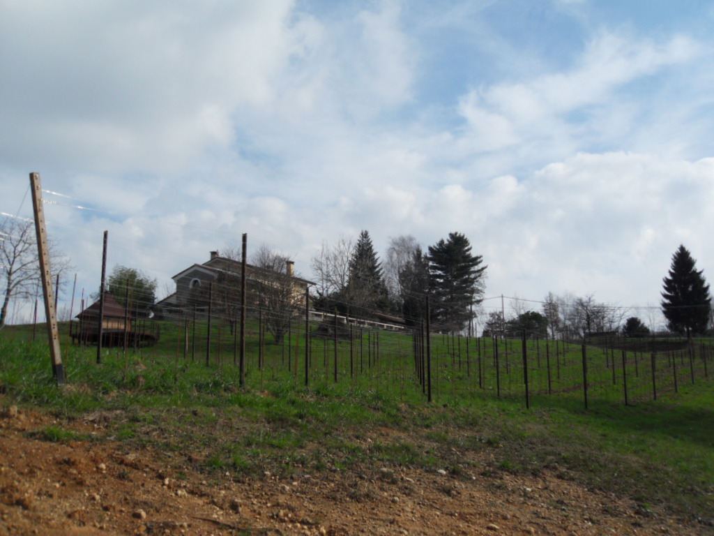 Rebanlage auf dem Montello im Februar 2014